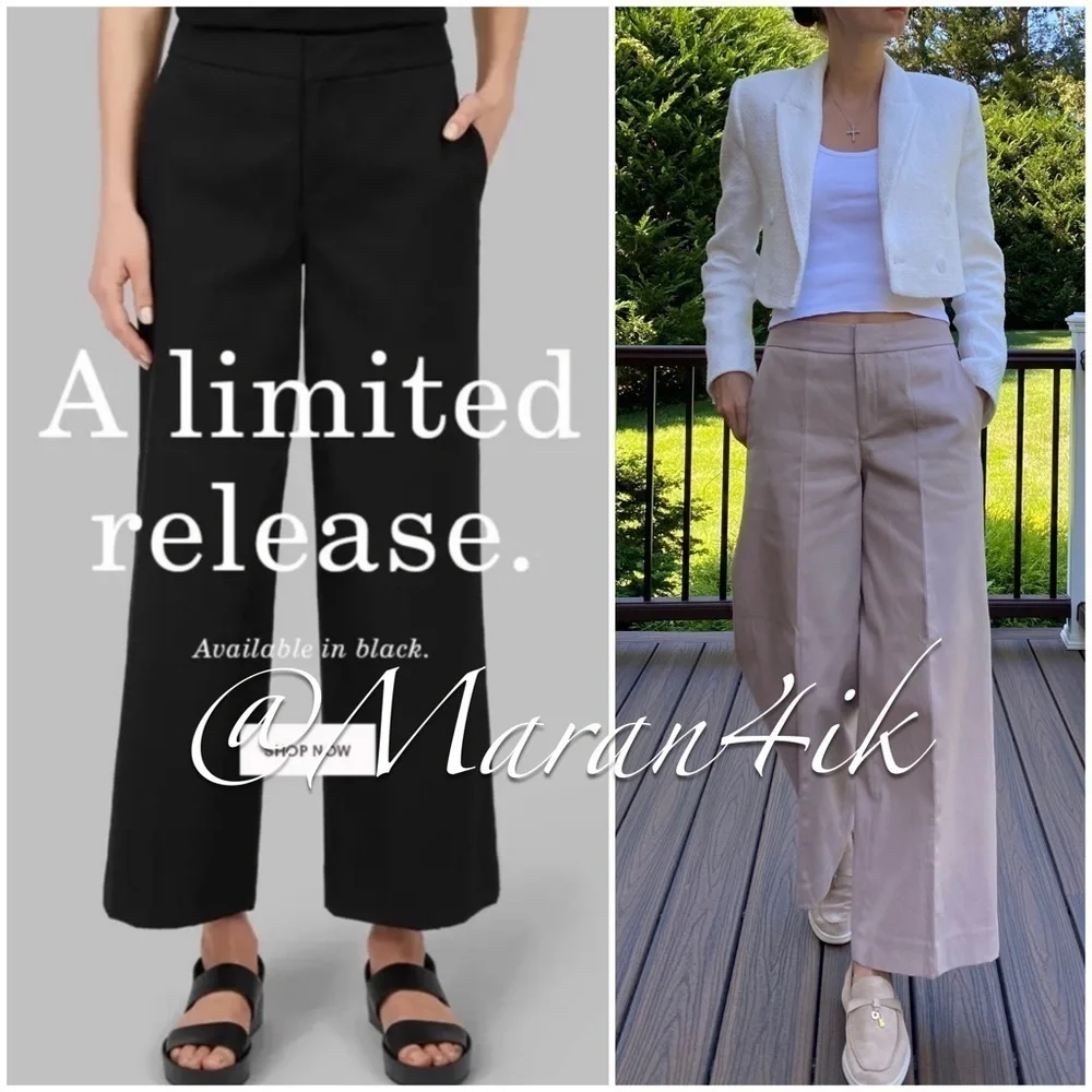 NWOT Everlane Limited Release: The Wide Leg Structure Pant RARE - Picture 2 of 15